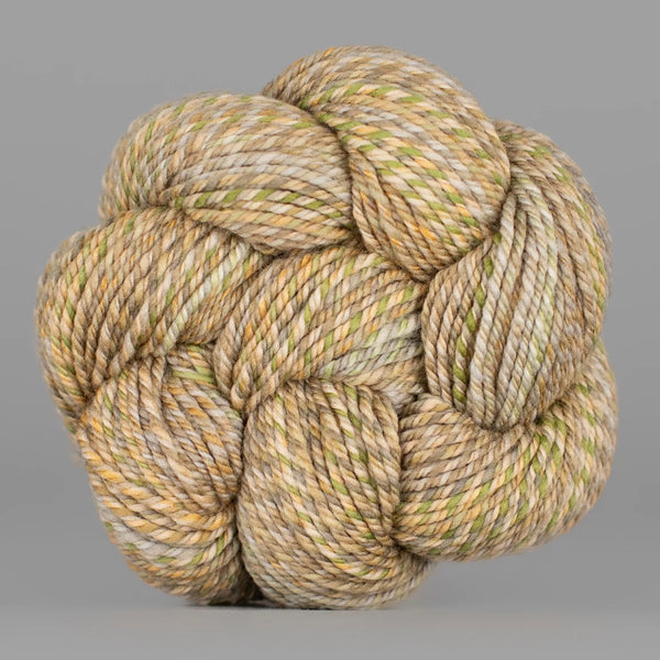 Spincycle Dream State