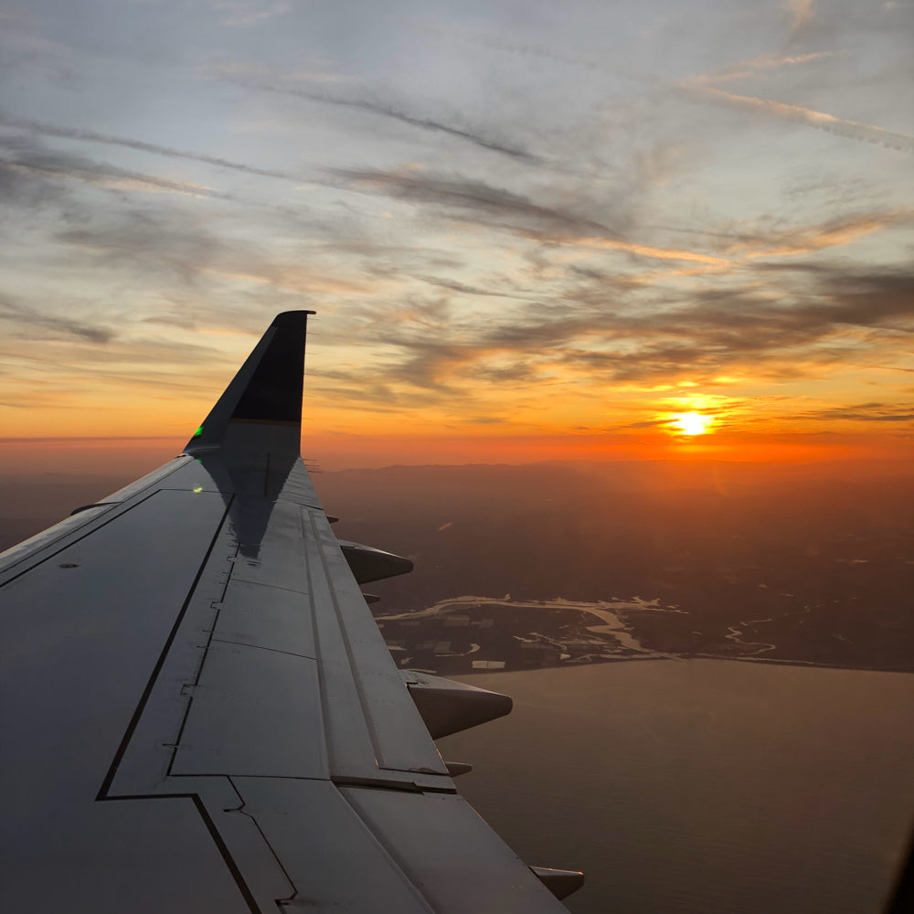 Spotlight on Process: Packing Your Knitting for Travel