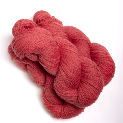 mYak Tibetan Cloud