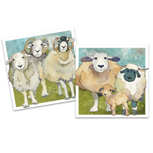 Emma Ball Sheep Mini Cards - Pack of 10