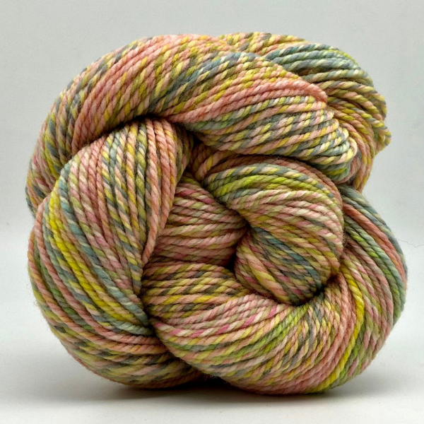 Spincycle Dream State