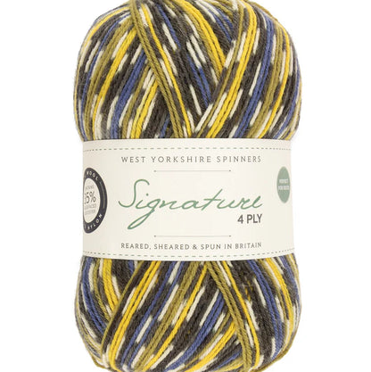 West Yorkshire Spinners Signature 4ply Sock