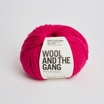 Wool and the Gang Crazy Sexy Wool