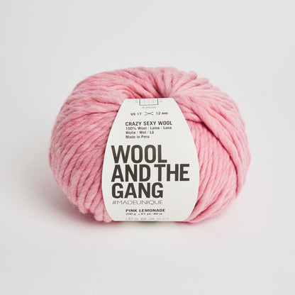 Wool and the Gang Crazy Sexy Wool